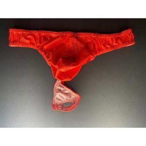 Red Ruby Slipper Hologram Shiny Metallic C-ring Pouch Swim Thong